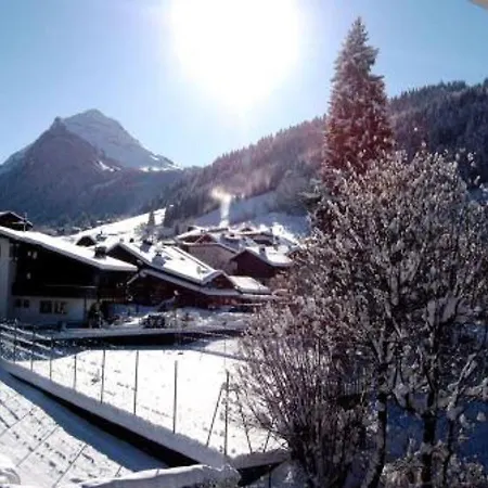 Appartement Morzine, 2 Pièces, 5 Personnes - Fr-1-524-56